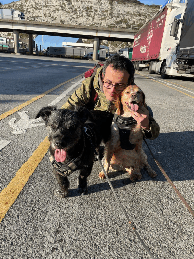 Buster & Bidi: When Work Comes Home… Literally! 🐾🏡 2 image 2