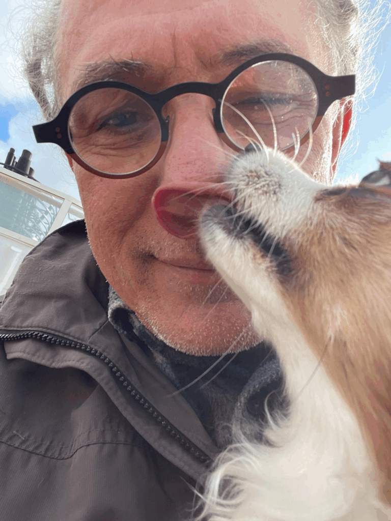 Wonderful Willow Hits the Road! 🐾💖 3 image 8